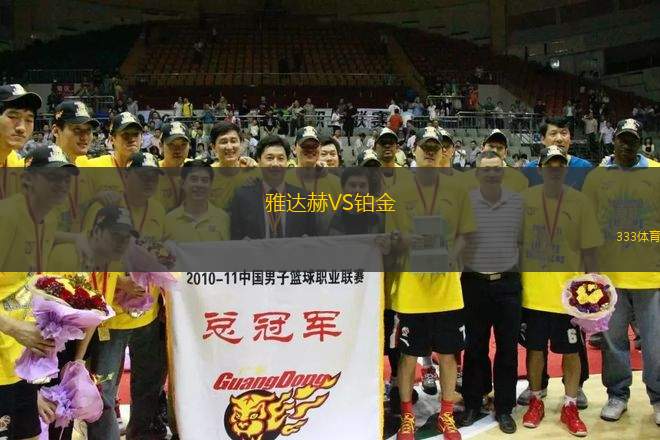 雅达赫VS铂金